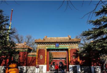 北京雍和宫一日游【金牌导游深度讲解/畅听祈福悟道/随订随用】【安享：金牌导游深度精讲，VIP畅听，不再走马观花式旅游， 解密皇家藏传寺庙档案！】
