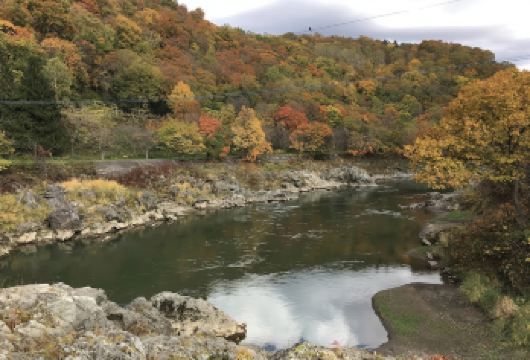 日本北海道札幌-旭川拉面村-旭川科学馆【中文专车-悦享旅途】【中文专车出行，景点灵活调整，打卡经典，游玩自己定义，无需等待，专属贴心服务，尽享惬意旅程】