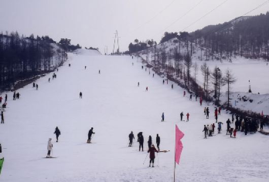 哈尔滨霜雪滑雪场一日游【往返旅游大巴车】