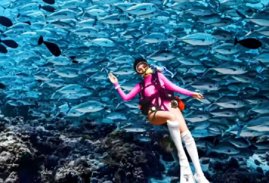 芭堤雅无止境潜水一日游【浮潜/深潜+含接送+自助午餐】【NO LIMIT DIVERS 无止境潜水中心具有签发PADI潜水员等级认证的国际证书的资格】