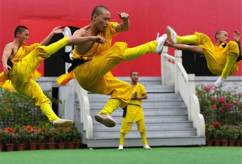 少林寺+三皇寨+塔林一日游[观看武演表演/包含往返索道]【[品质保证]深度服务型产品，真正无购物、不进店，放心出游！】