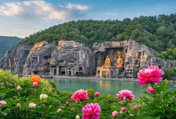 少林寺+龙门石窟一日游●范围内上门接 ● 无购物●导游讲解【少林寺+塔林+龙门石窟纯玩一日游，含少林寺龙门石窟讲解】