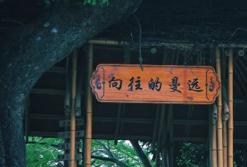 西双版纳傣族园+曼远村一日游【酒店接送+门电+纯玩无购物】【[品质保障]平台售后保障，贴心客服解答，纯玩无购物，玩饱再出发下个打卡点。】