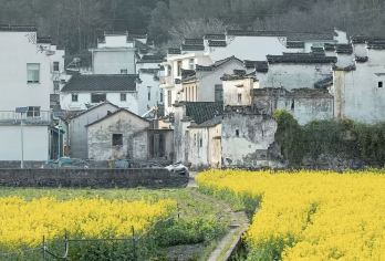 黄山包车 | 龙川景区+千年仁里+古镇上庄包车一日游【[一对一包车]专车上门接送，车辆费用全含】