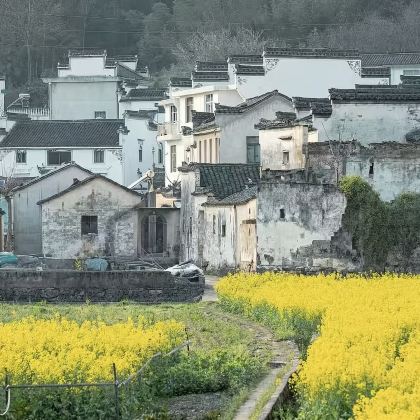 黄山包车 | 龙川景区+千年仁里+古镇上庄包车一日游