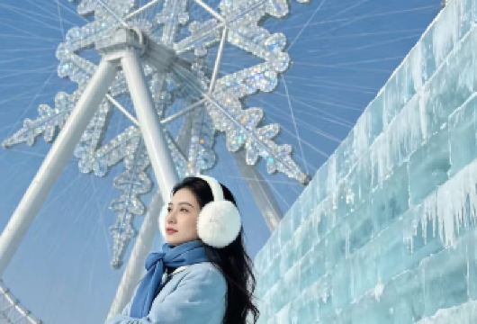 哈尔滨冰雪大世界+中央大街+圣索菲亚大教堂一日包车一日游【行程概览：冰雪大世界室内馆、索菲亚教堂、中央大街等】