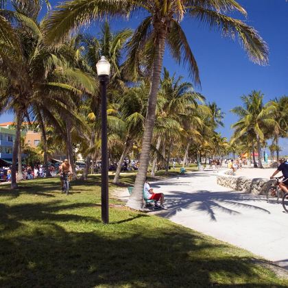  迈阿密市区+大沼泽国家公园一日游