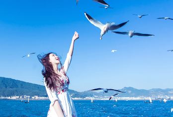 石林风景区+滇池一日游【上门接丨金牌导游丨滇池观海鸥|纯玩】【[金牌导游]专业萌趣暖心导游全程带您游玩，带您“三分看，七分听”，听石林滇池的历史】