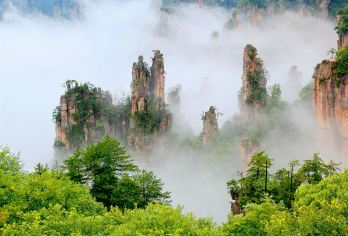 张家界国家森林公园+张家界千古情一日游【一价全含+核心景点】【[品质专线]全新升级深度游，高分好评，打卡核心网红景点——袁家界、百龙电梯、十里画廊、天子山。】