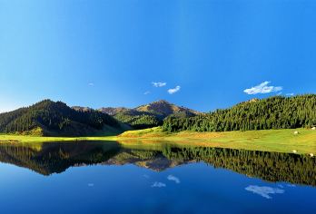 包车纯玩+1天游2景|新疆乌鲁木齐天山大峡谷+南山牧场一日游【[舒适灵活]送至景区门口即可自由玩耍，行程灵活度高】
