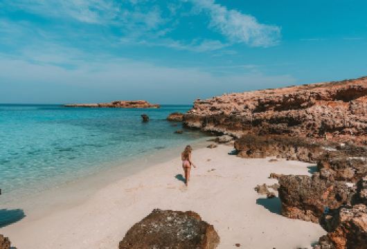 阿曼Daymaniyat 岛浮潜看海龟【自行前往码头汇合】【海龟同游秘境——潜入Daymaniyat清澈海域，与绿海龟共舞，近距离观察它们优雅觅食。】