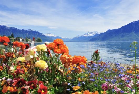 瑞士日内瓦-拉沃葡萄园-沃韦-蒙特勒【中文专车-舒适纯净】【中文专车出行，景点灵活调整，打卡经典，游玩自己定义，无需等待，专属贴心服务，尽享惬意旅程】