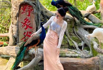 西双版纳野象谷+原始森林公园15人团一日游【金牌讲解丨纯玩】【[服务保障]金牌导游带队，当地权威一手地接，正规运营车辆、持证上岗司机，规范操作，您安心出游即可】