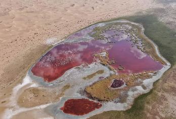 宁夏银川腾格里沙漠+乌兰湖+骆驼湖一日游【五湖穿越纯玩团】【[五湖穿越]乌兰湖/骆驼湖/海溜骐湖/天鹅湖/吉他湖！纯玩，含门票，当地专业越野车领队司机兼向导；】