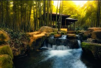 上方森林动物世界+寒山寺+狮子林【苏州亲子一日游】【全程私人专车服务，不拼团，行程灵活可调整。】