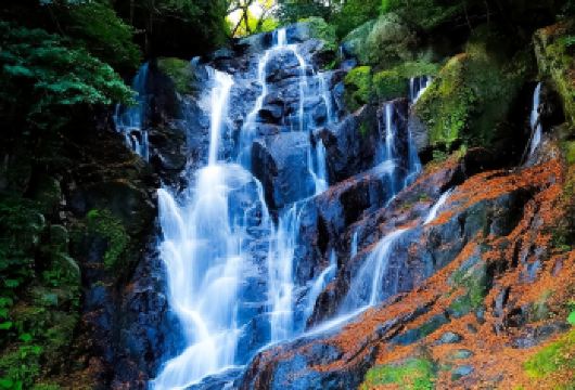 【福冈】雷山千如寺·一蘭拉面之森·樱井二见浦 夫妇岩一日游【宛如白丝的瀑布流水，在自然散步道上享受宁静与美景，瞬间心旷神怡】