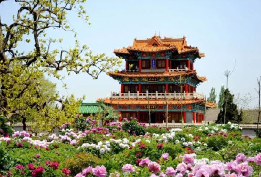 【山东菏泽】老城曹州+商业街等游玩景点|行程可调【可以提供包车|摄影人员】