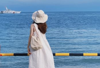 北海涠洲岛一日游【含往返船票门票/市内接送/特色餐/纯玩团】【[舒心游玩]深度打卡涠洲岛四大景区，不堆砌小景点，保证充足游玩时间】