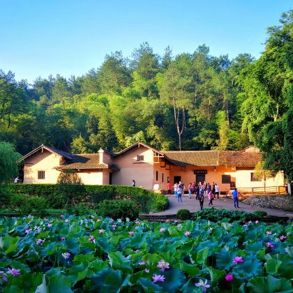 韶山毛泽东同志故居一日活动【滴水洞/16人团上门接/无购物】