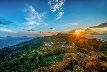 茶山竹海1日游【包车游&自由行&纯玩无购物】【这里不仅是《十面埋伏》的取景地，更是自然与人文完美融合的宝藏之地。】