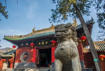 少林寺+三皇寨+塔林一日游【武术表演+三环内接+导游讲解】【2012年成立，8年发团量第一，3000+好评，口碑保障。荣获携程多项服务大奖，品质见证！】