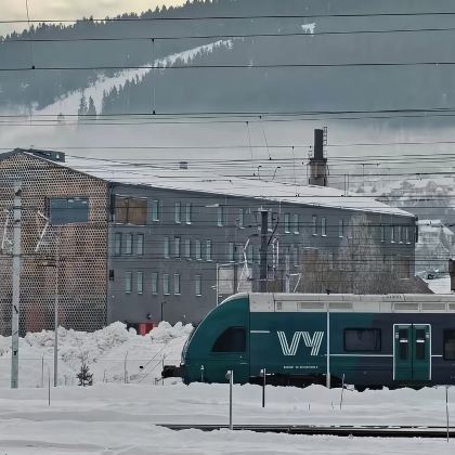 包车畅游十H：蒂里湖+阿克尔码头+奥斯陆峡湾+维格兰雕塑公园