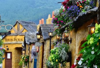 日本九州熊本司港+由布岳+由布院盆地+金鳞湖+灶地狱一日游【九州风光】