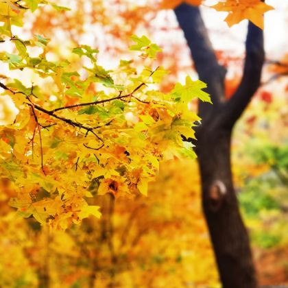 北京坡峰岭一日游【自行包车/团队定制/公司团建/拓展】