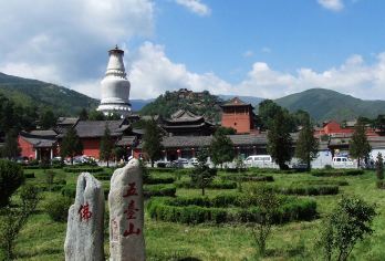 五台山※甄选准新车※景点游玩不限时酒店上门接21号线【[精品包车一日游]全系车型均使用[精品车型]-车内干净卫生，司机服务热情贴心，大同市平城区范围上门接】