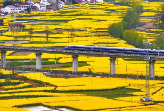 汉中新集岳岭高铁穿梭油菜花+黎坪国家森林公园【2-6人团】【1.[2-6人小团]严选安全舒适车辆，当地老司机保驾护航，旅途更舒适，享受自在美好旅行。】
