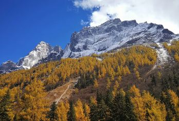 【四姑娘山双桥沟纯玩一日游，成都三环路以内上门接】【[纯玩出行]保证全程不进购物店，无隐形消费，行程透明，放心出行!】