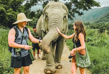 苏梅岛越野车之旅+大象水疗中心亲近大象+纳芒瀑布一日游【乘4x4越野车畅玩丛林】