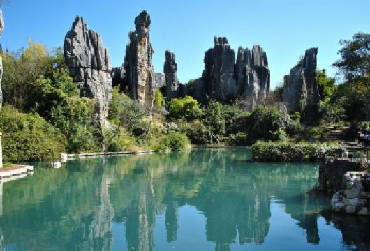 【臻选纯玩】昆明石林+九乡一日游|可选独立包车服务【一日游览昆明5A级核心景点，石林门票130元，可选15人小团，让您物超所值;】