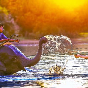 清迈大象咖啡粘粘瀑布天使瀑布蓝庙一日游，New大象营互动洗澡