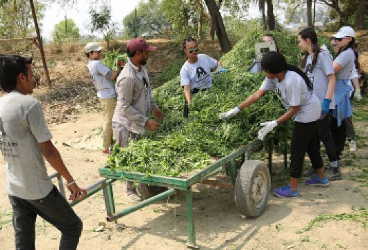 双重奇观：泰姬陵日出与大象保护体验【- 参观致力于大象救援和康复的著名道德保护区 - 见证泰姬陵沐浴在金色的晨曦中，感受宁静与敬畏的时刻 - 探索被联合国教科文组织列为世界遗产的阿格拉堡，这是一座雄伟的红砂岩堡垒】