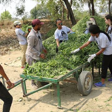 双重奇观：泰姬陵日出与大象保护体验