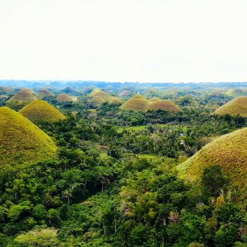 西南旅行社薄荷岛乡村之旅