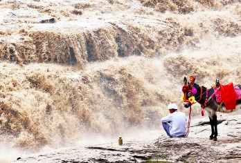 黄帝陵+壶口瀑布一日游【三环内接/头等舱/行政舱/观窑洞】【三环内专车接驾，集合无忧更省时更省心】