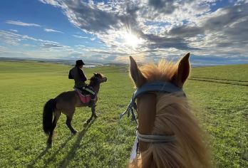 呼和浩特+希拉穆仁草原一日游【牧场玩乐丨跃马欢歌】【[精品赠送]免费赠送矿泉水、贴心医药包，让您安心享受每一段旅程】