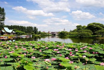 黑龙江哈尔滨伏尔加庄园一日游【哈尔滨起止】【俄罗斯文化为主题的园林,完完全全充实着异域风情的庄园】