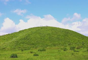 日本九州-福冈往返-熊本城-熊本熊广场-水前寺成趣园-精品游【专业行程定制，精选热门景点，高效游玩不走回头路，贴心服务保障，轻松】