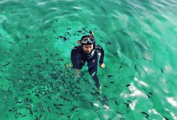 民丹岛浮潜一日游（含午餐和酒店接送）【潜入民丹岛清澈的海水，探索隐藏的水下天堂。探索色彩斑斓的珊瑚礁，与奇异的海洋生物一起畅游，开启一段难忘的浮潜之旅。体验民丹岛终极浮潜探险之旅——非常适合家庭和情侣】