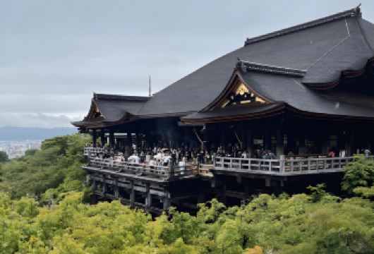 日本大阪-京都伏见稻荷大社-宇治平等院【中文专车-舒适纯净】【中文专车出行，景点灵活调整，打卡经典，游玩自己定义，无需等待，专属贴心服务，尽享惬意旅程】