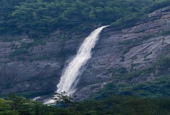 庐山风景名胜区一日游【含门票索道，李白瀑布观音桥桃花源】【庐山代表景点一次玩转：李白笔下的香炉峰瀑布+陶渊明笔下的桃花源记+远眺五老峰+白鹿洞书院++鄱阳湖。】