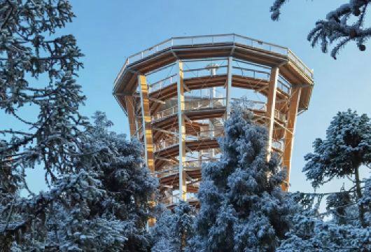 【限定8人团】冰雪季仙女山+乌江画廊+树顶漫步纯玩一日游【公司成立30余年，品质保证，放心游，正规车辆，熟练司兼导】