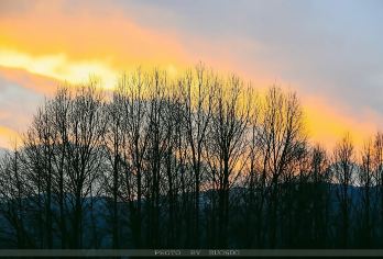 大理白族自治州沙溪古镇+玉津桥+去有风的地方一日游【1.免费提供矿泉水，纸巾，雨伞，手机充电器。】