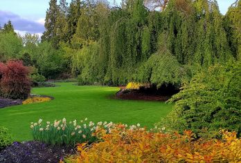 加拿大温哥华伊丽莎白女王公园+固兰湖岛+史丹利公园一日游【+卡皮拉诺吊桥公园】