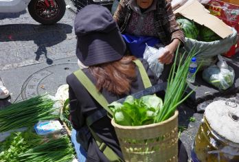 大理北门菜市场采购+凉米线制作体验+喜洲小火车网红打卡一日游【车厢怀旧设计的喜洲小火车，穿行于田野中，适合拍照打卡】