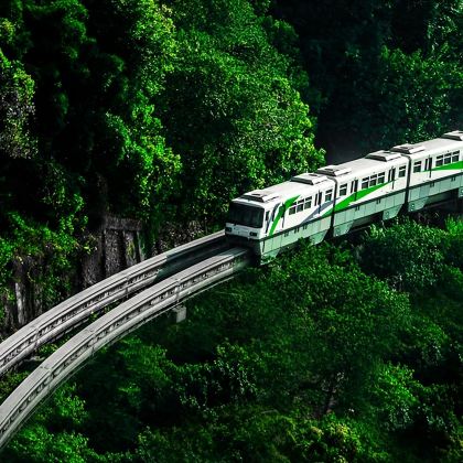 洪崖洞+长江索道+磁器口古镇+两江小渡+李子坝城市打卡一日游