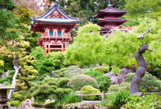 美国旧金山市区经典一日游-可定制【中文专车-舒适纯净】【中文专车出行，景点灵活调整，打卡经典，游玩自己定义，无需等待，专属贴心服务，尽享惬意旅程】